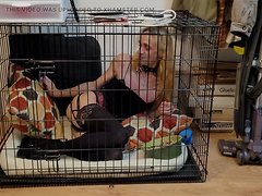 Crystal is a naughty shemale who loves to get wild and have fun in her crate, so watch as sh...